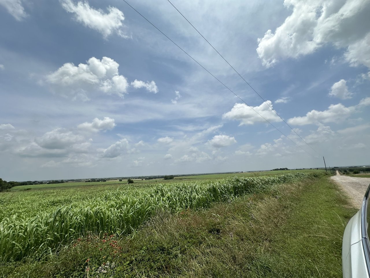 231 Acres land for sale in Troy, Tx with Utilities