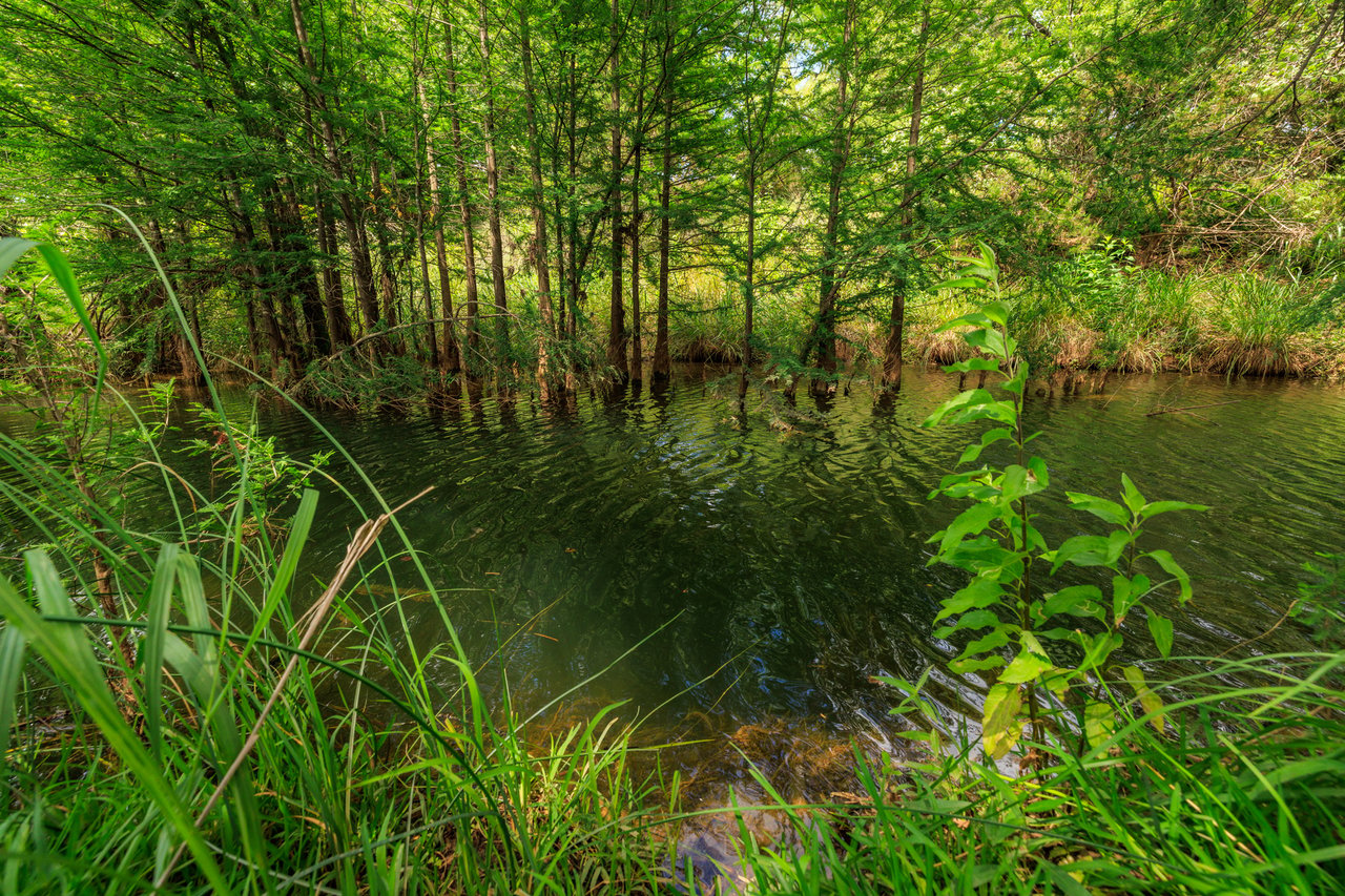 Live Oak Creek Ranch 