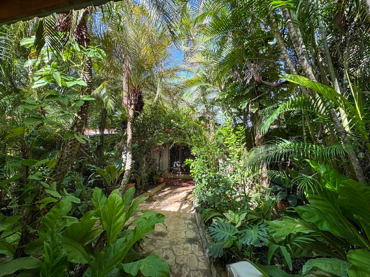 Sueño Del Mar | A Beachfront Estate on Baker’s Beach, Playa Guiones, Nosara
