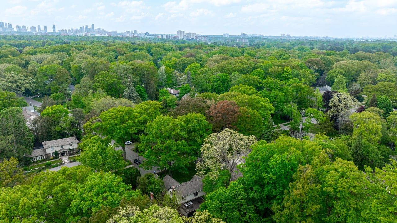 208 Mineola Rd W