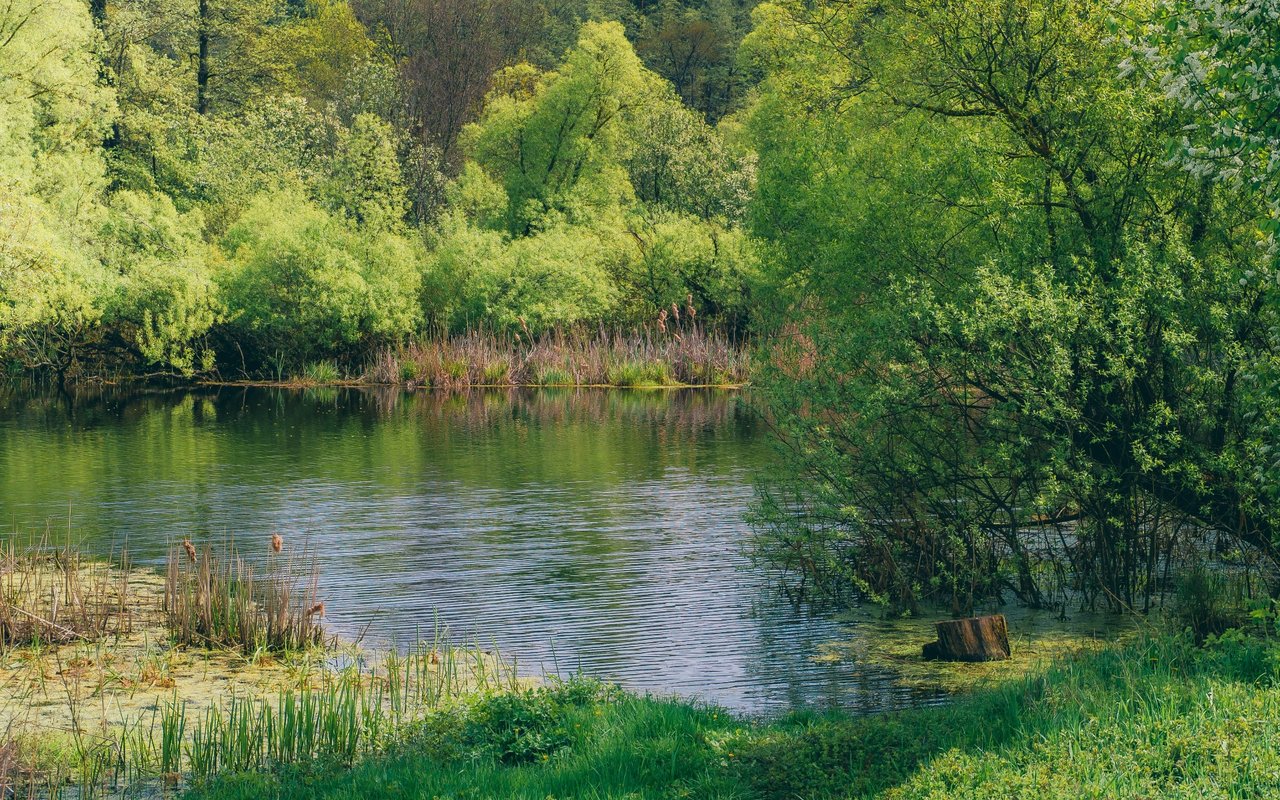 East Chillisquaque Township