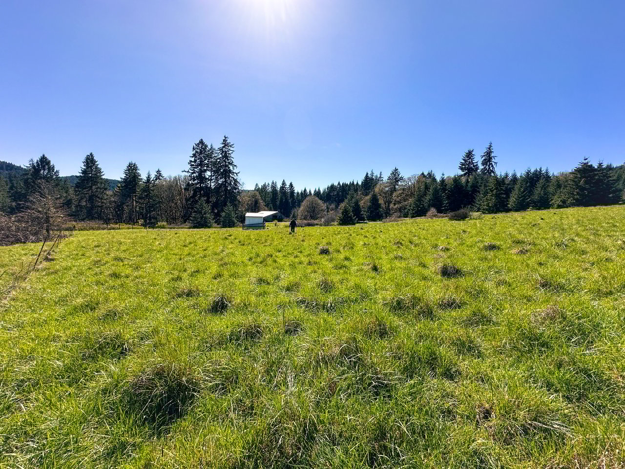 HARRIS FARM & FOREST