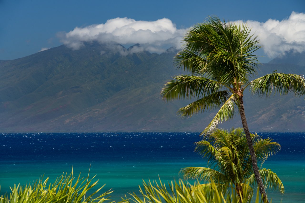 Sands of Kahana 134