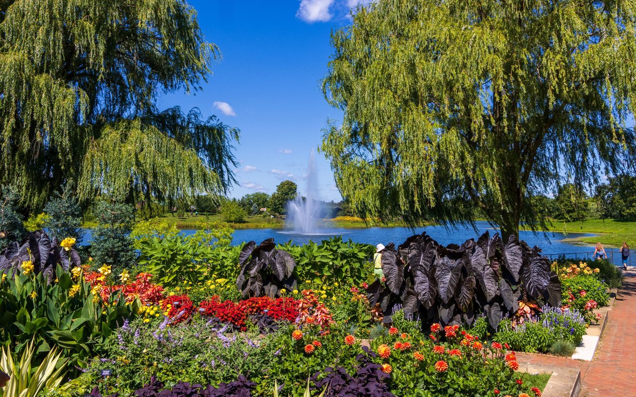Lake Forest