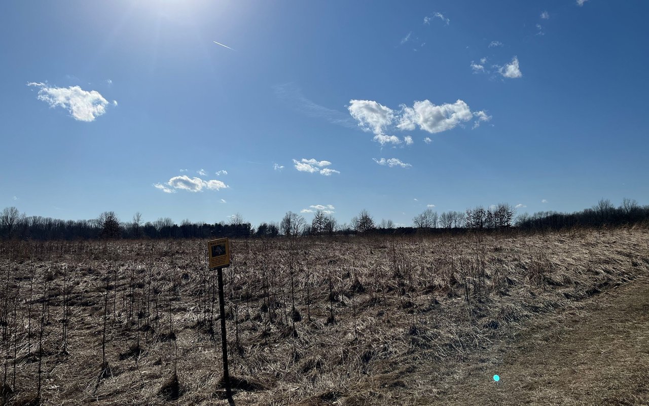 Galesburg