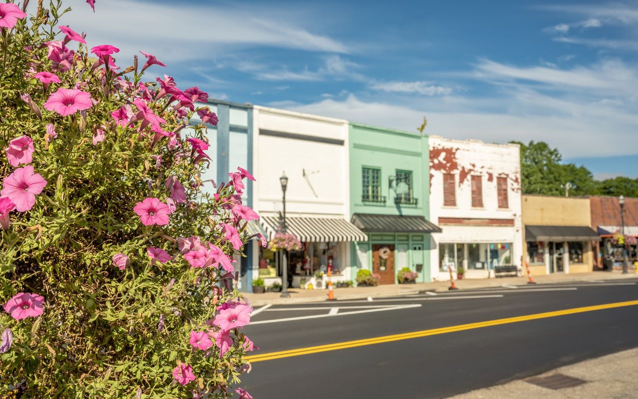 Small-town storefronts behind a foreground of bright pink flowers.