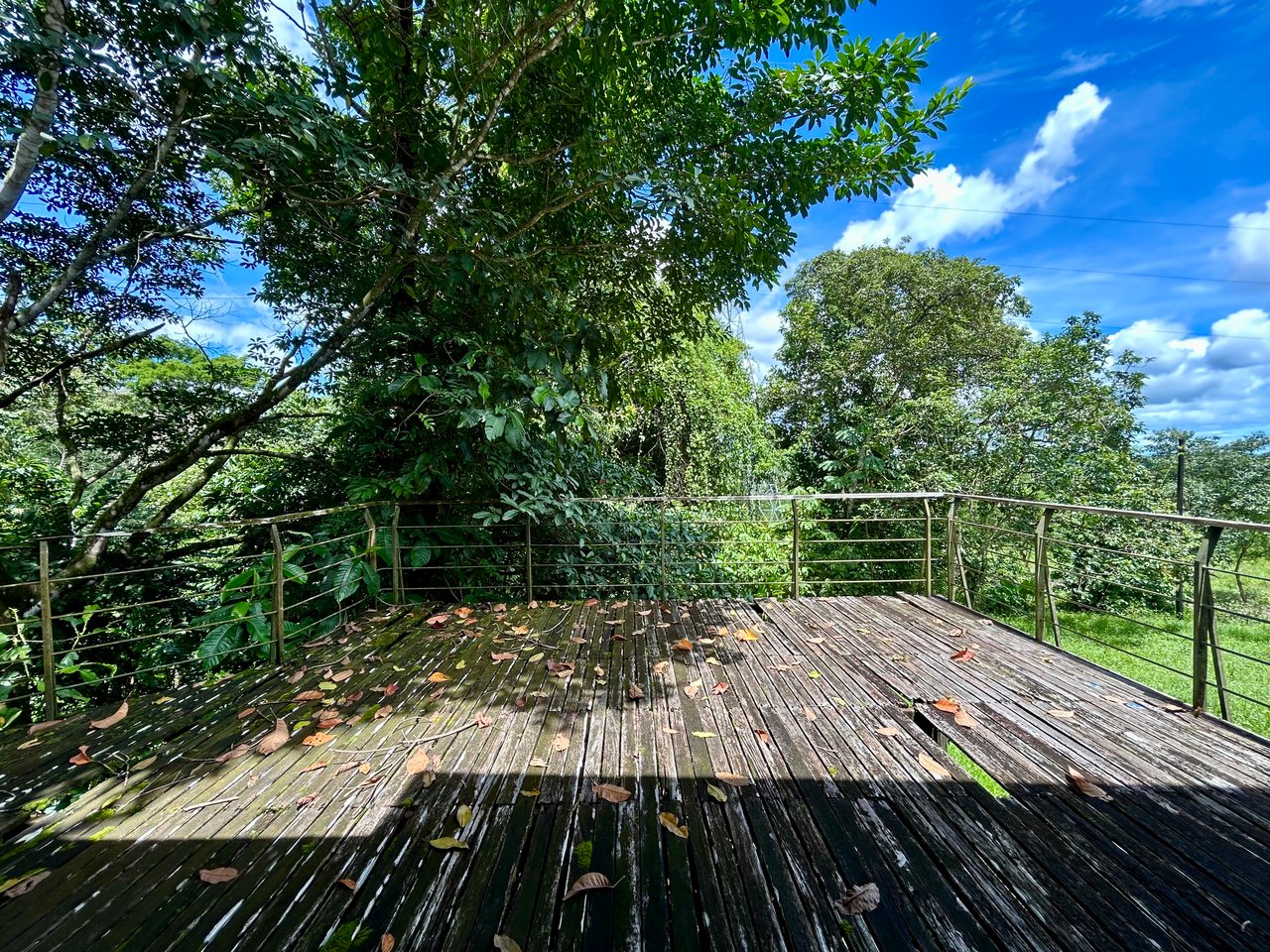 Fixer-Upper Home with an studio Office in Palmar Norte on a 4-Hectare Property