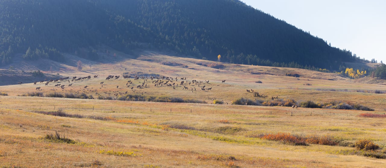 Box Elder Ranch