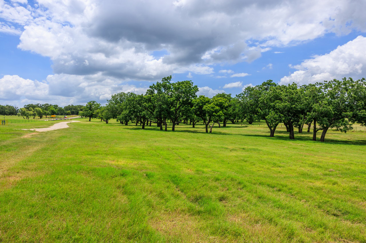Live Oak Creek Ranch 