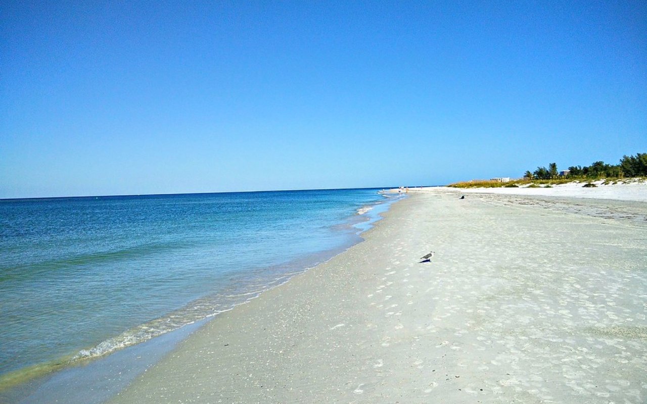 Bird Key vs. Lido Key: Which Sarasota Island Fits Your Lifestyle?