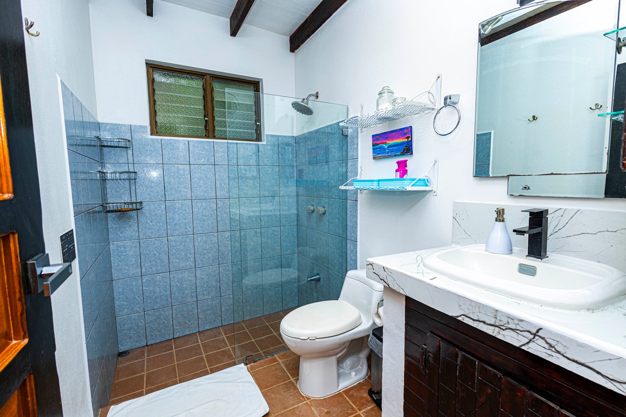 Exquisite Costa Rican Jungle Estate with Ocean Views