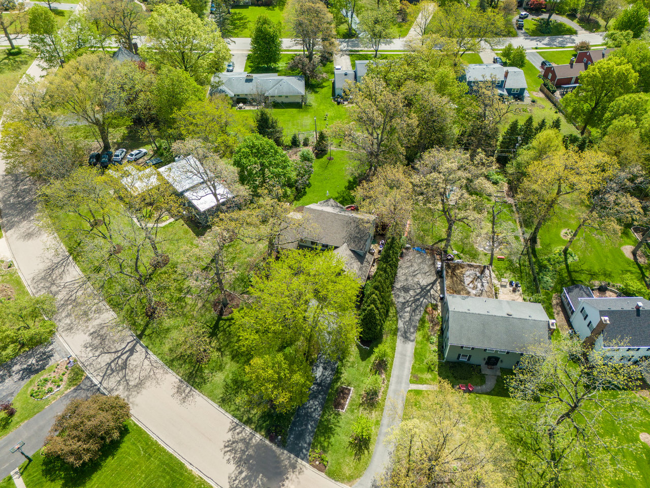 346 Meadowrue Lane