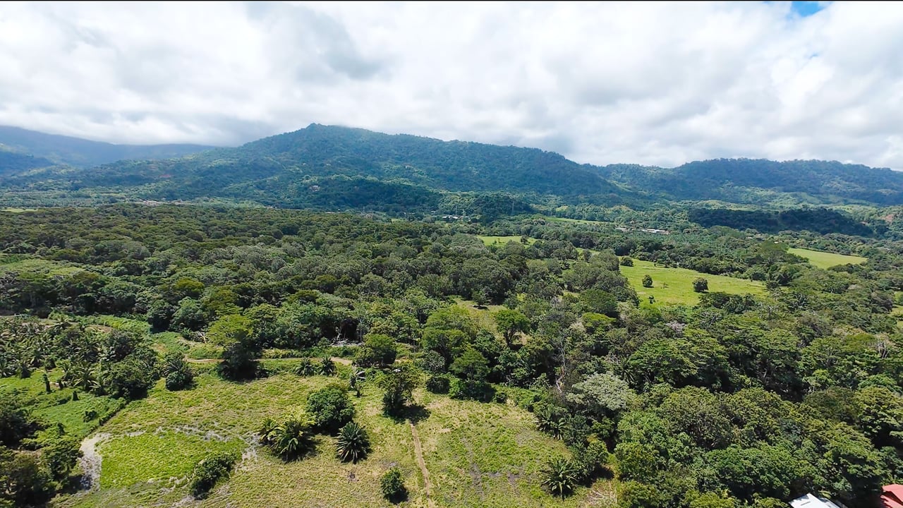 Access Beach Lots -81 Acres-Matapalo