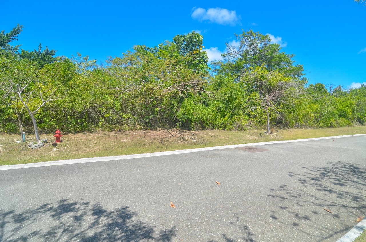 Lot #2 Lyford Hills