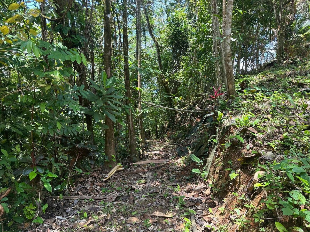 Private Waterfall Jungle Land, Uvita, Puntarenas