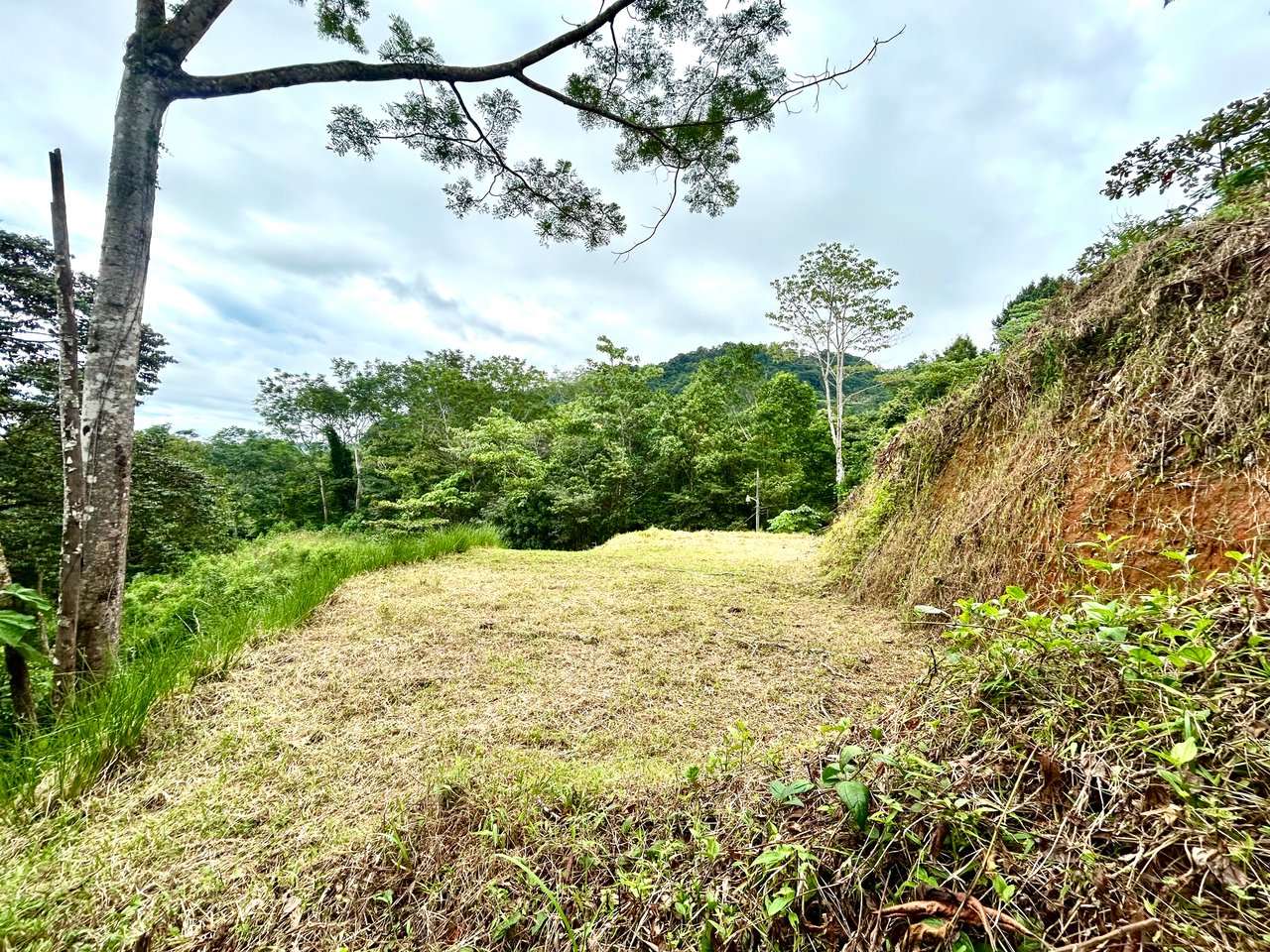Beautiful Lot in Phase 9 Ojochal, Gated Communuity - NOW WITH LEGAL WATER