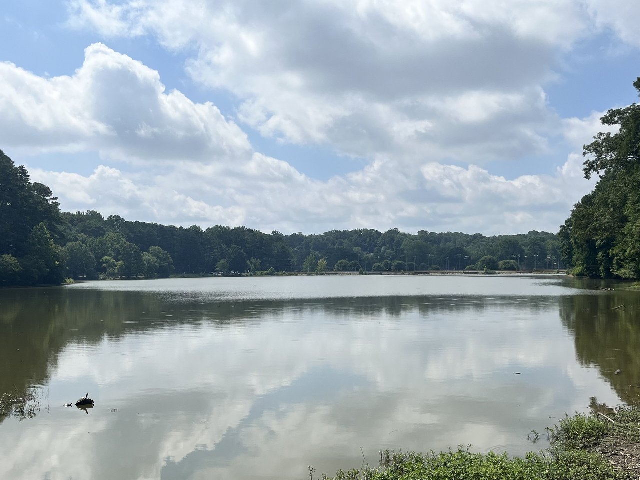 Murphey Candler Lake in Brookhaven, Georgia, framed by green trees under a bright blue sky with white clouds