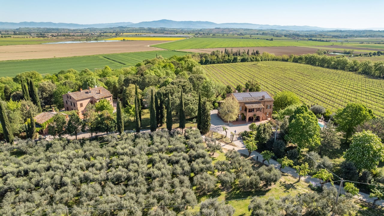 LA VIGNA ANTICA