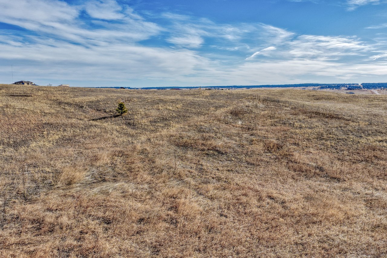 16670 Misfit Crew Heights