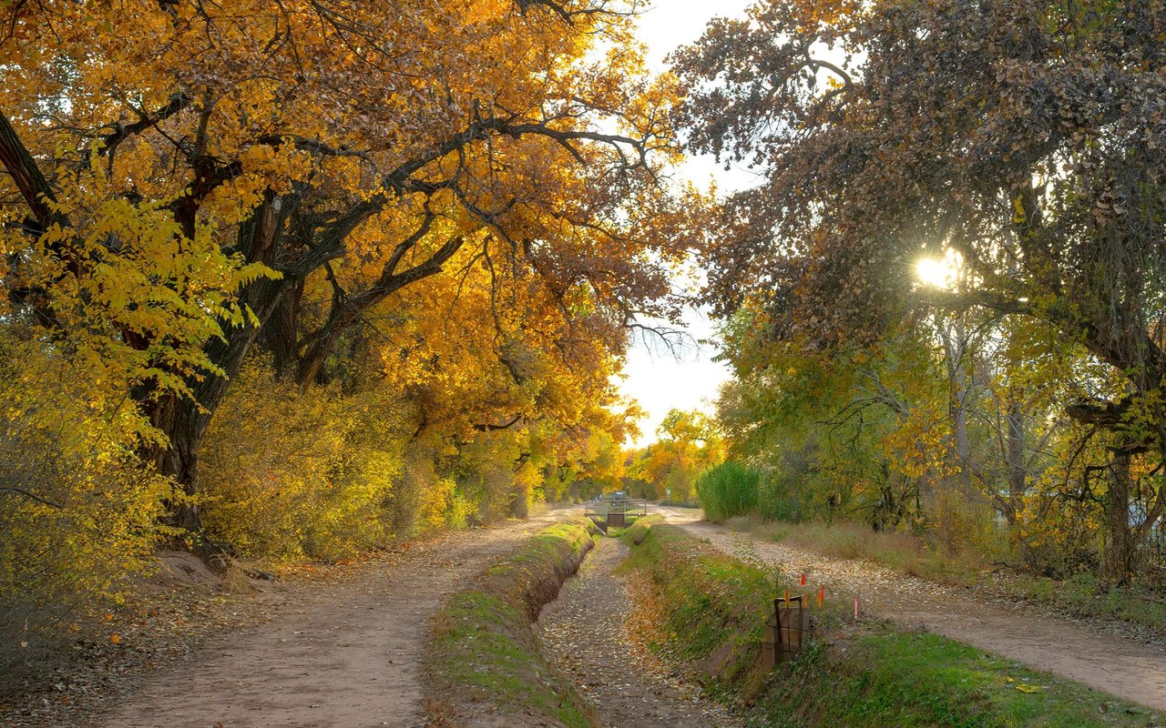 Corrales