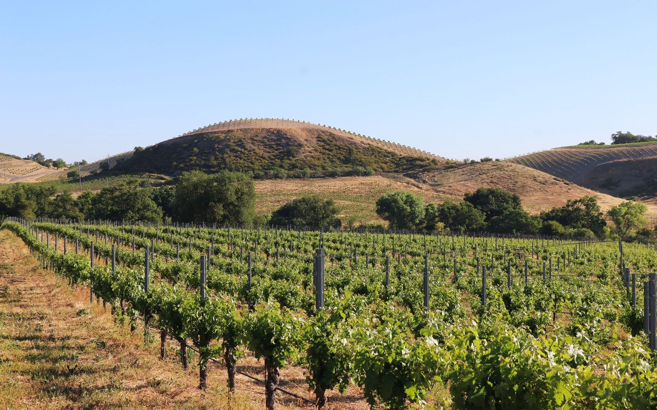 Redwood Valley