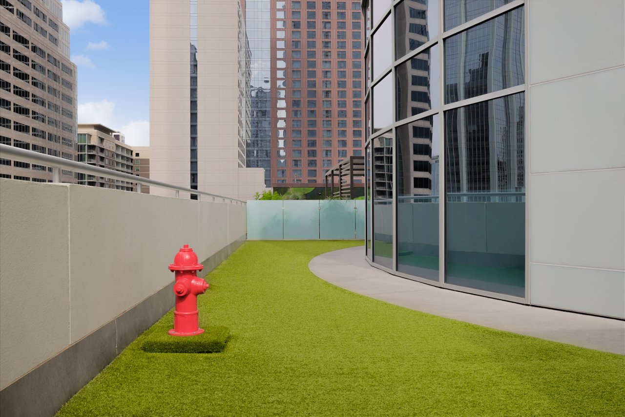 200 Congress Avenue #19F