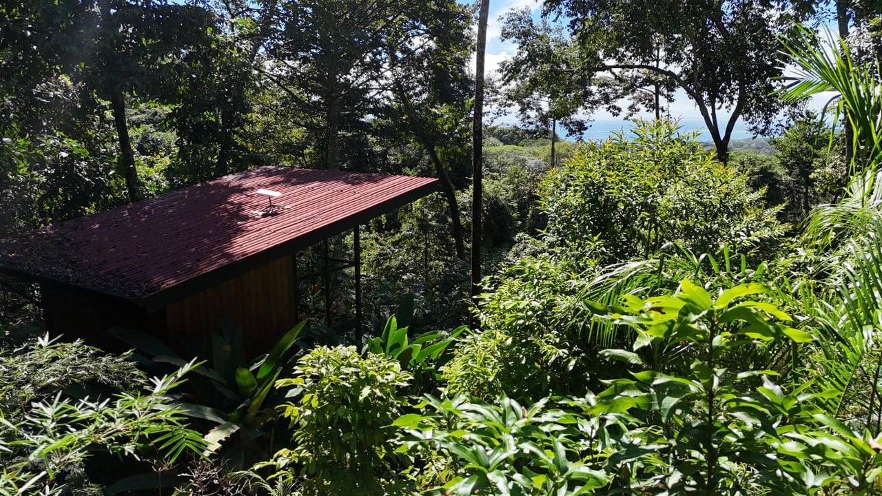 1.7 Acres Ocean View Lot with Producing Cabin in Uvita