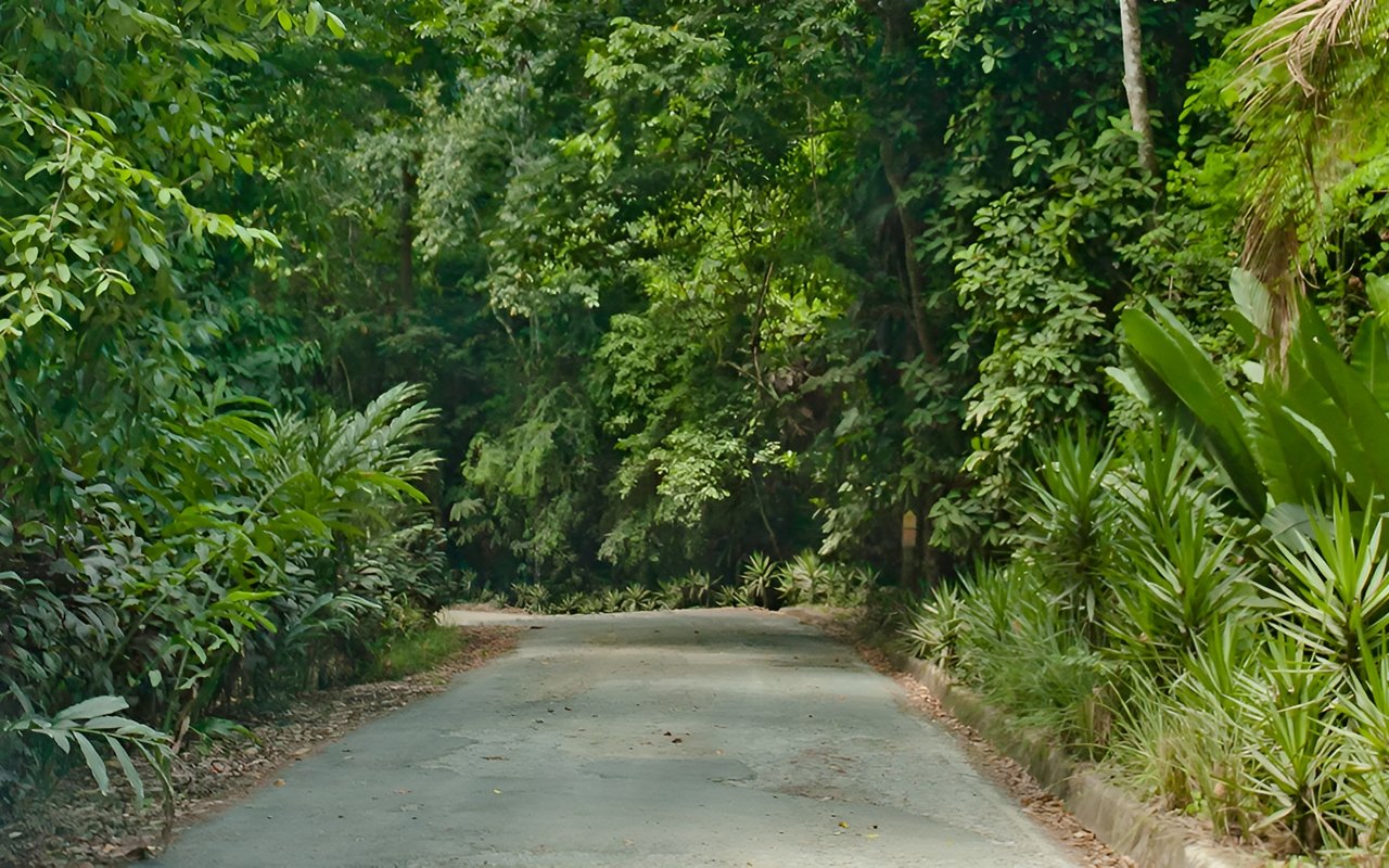 Finca Se Ve Bien
