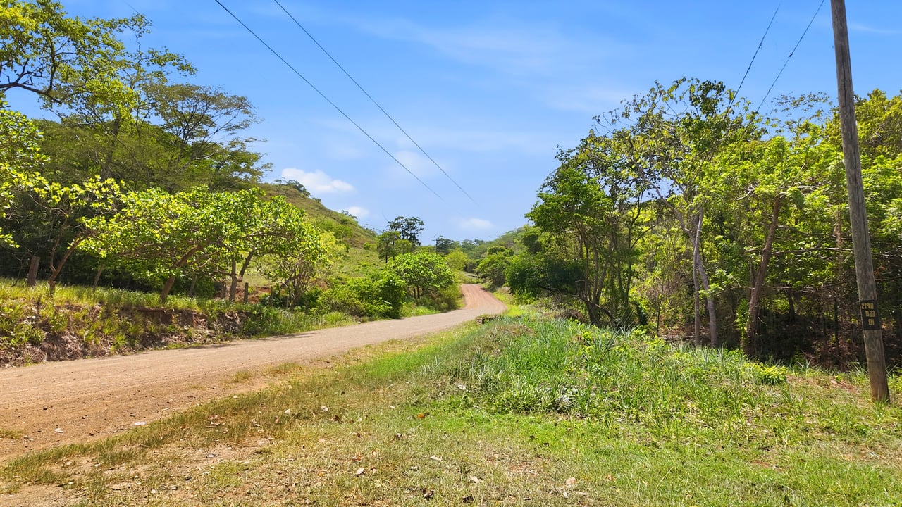 3.4 Acres of Quiet Country Living | 12 minutes from the Beach - Tempate 
