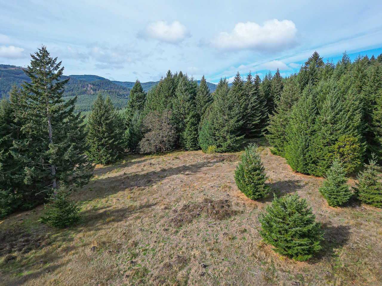 Panther Creek Homestead