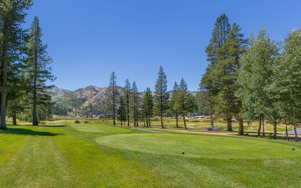 Golf course tee area framed by pine trees, with rugged mountains in the distance.