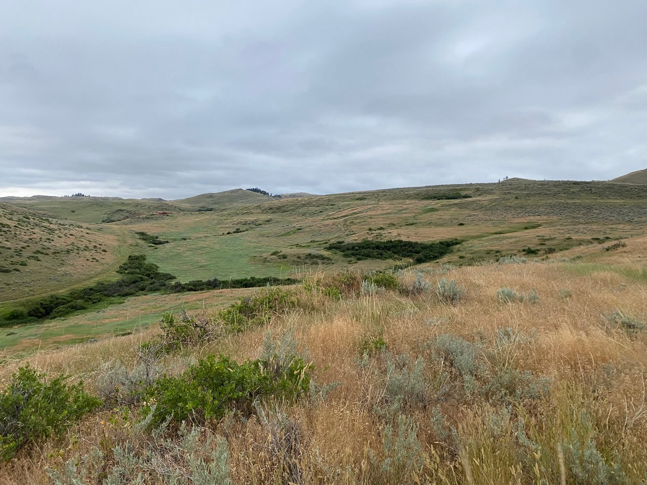Dutch Creek Ranch 