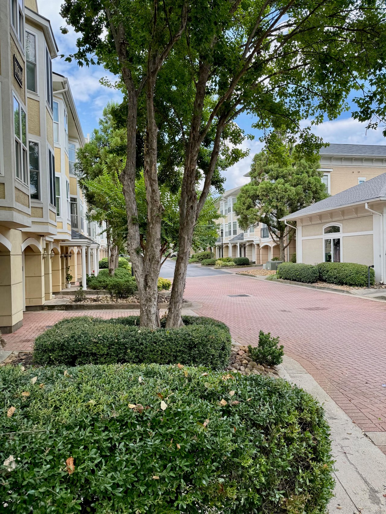 Highland City View