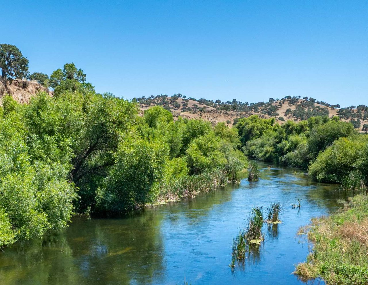 Joseph Vineyard | 76987 Nacimiento Lake Drive
