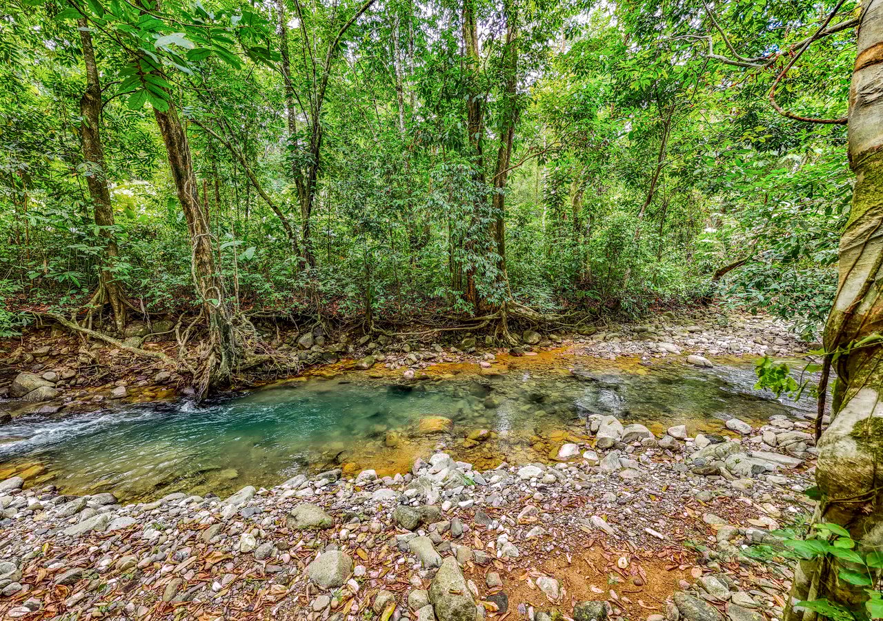 Modern 3-Bed Jungle Home with River and Pool in Cinco Ventanas Ojochal