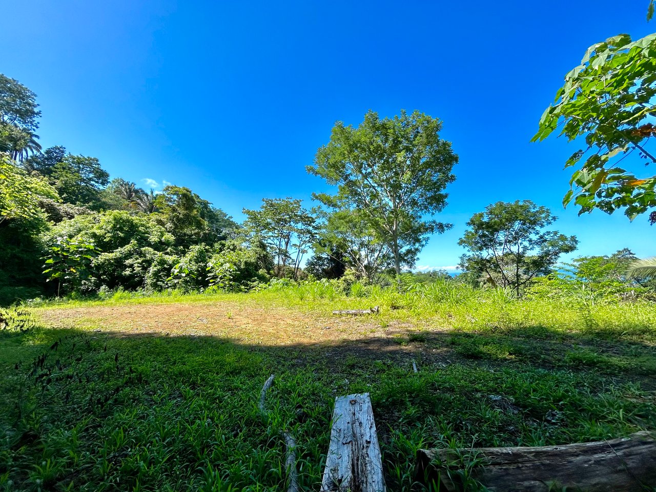 Ocean View Property in Playa Hermosa, Over 1.75 Acres