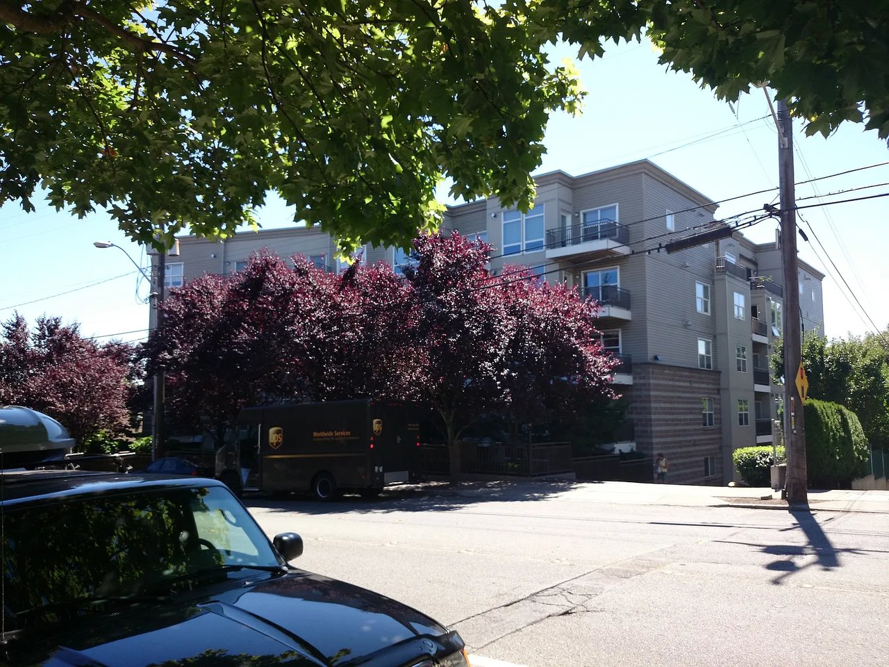 3221 SW Avalon Way #205