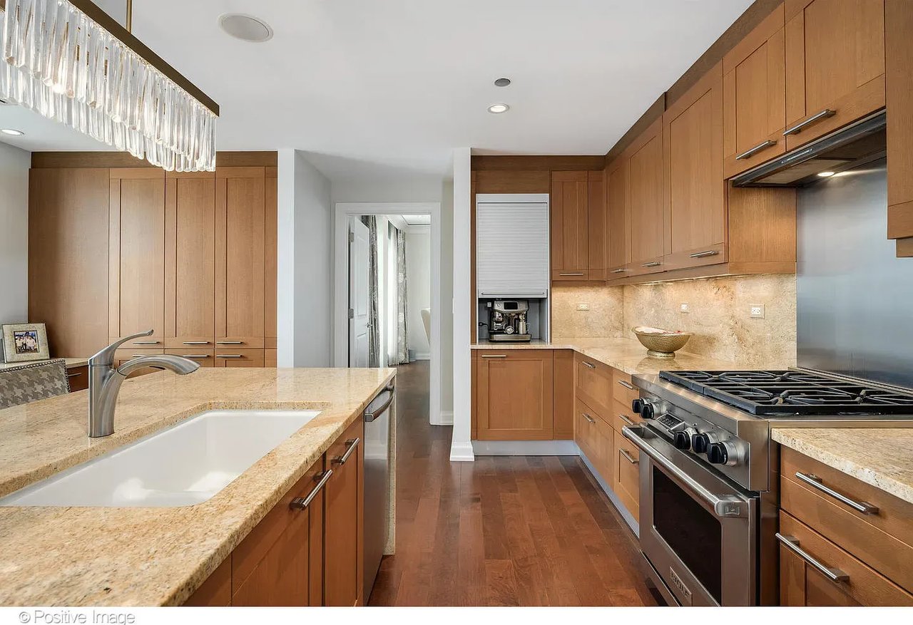 11 E Walton St APT 4102