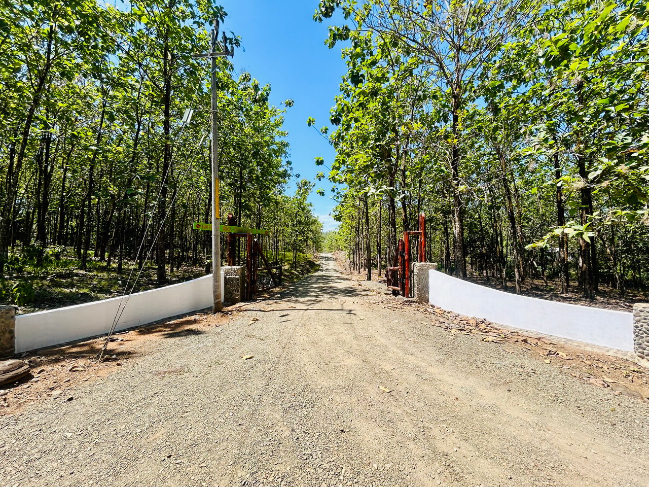 Prime 1.24-Acre Land in Matapalo / San Andrés – Ready to Build