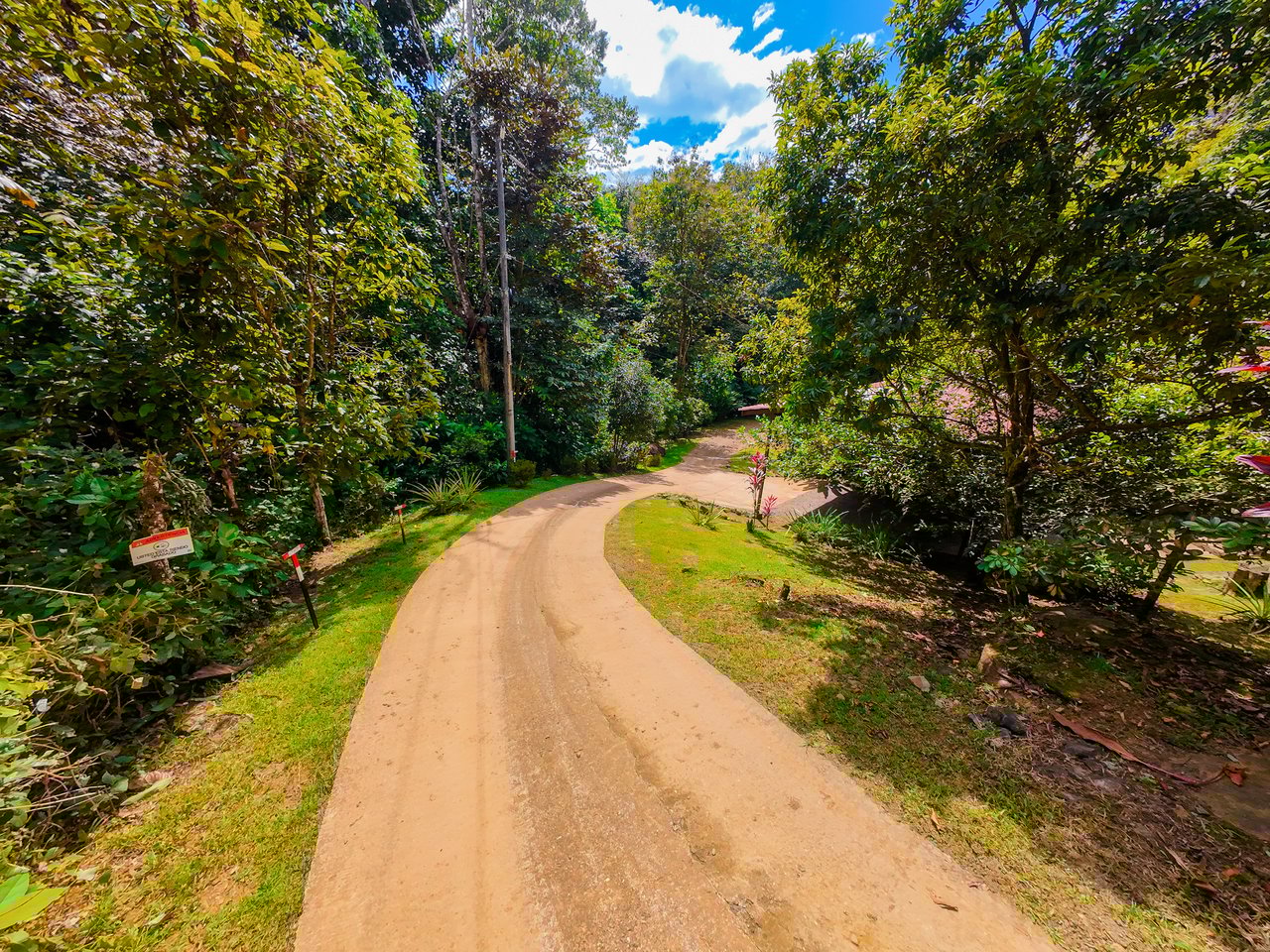 Serene Jungle Home + Guest Cabin on 3 Acres and River