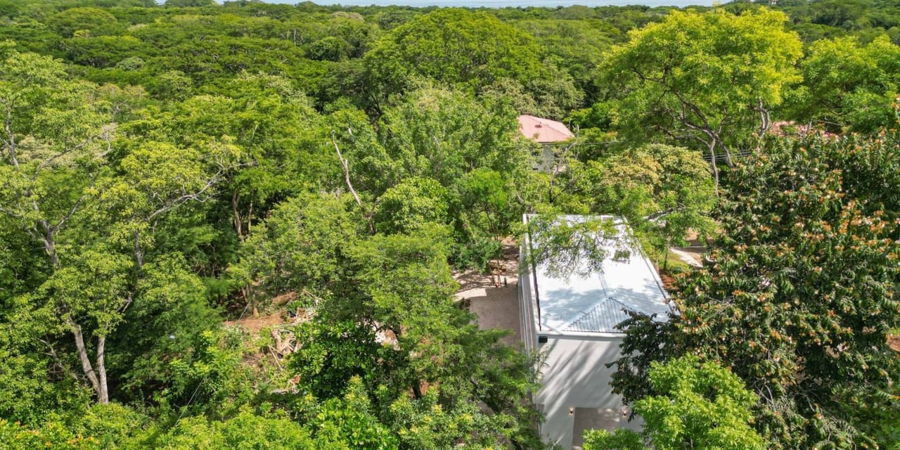 Modern Jungle Home Near Conchal Beach