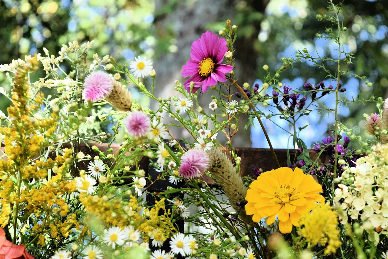 This Flower Farmer’s Trick Is the Secret to Endless Blooms in Your Garden