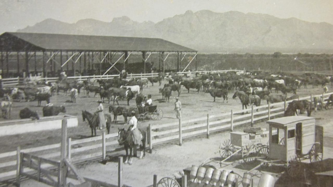 Rich Equestrian History in the Area