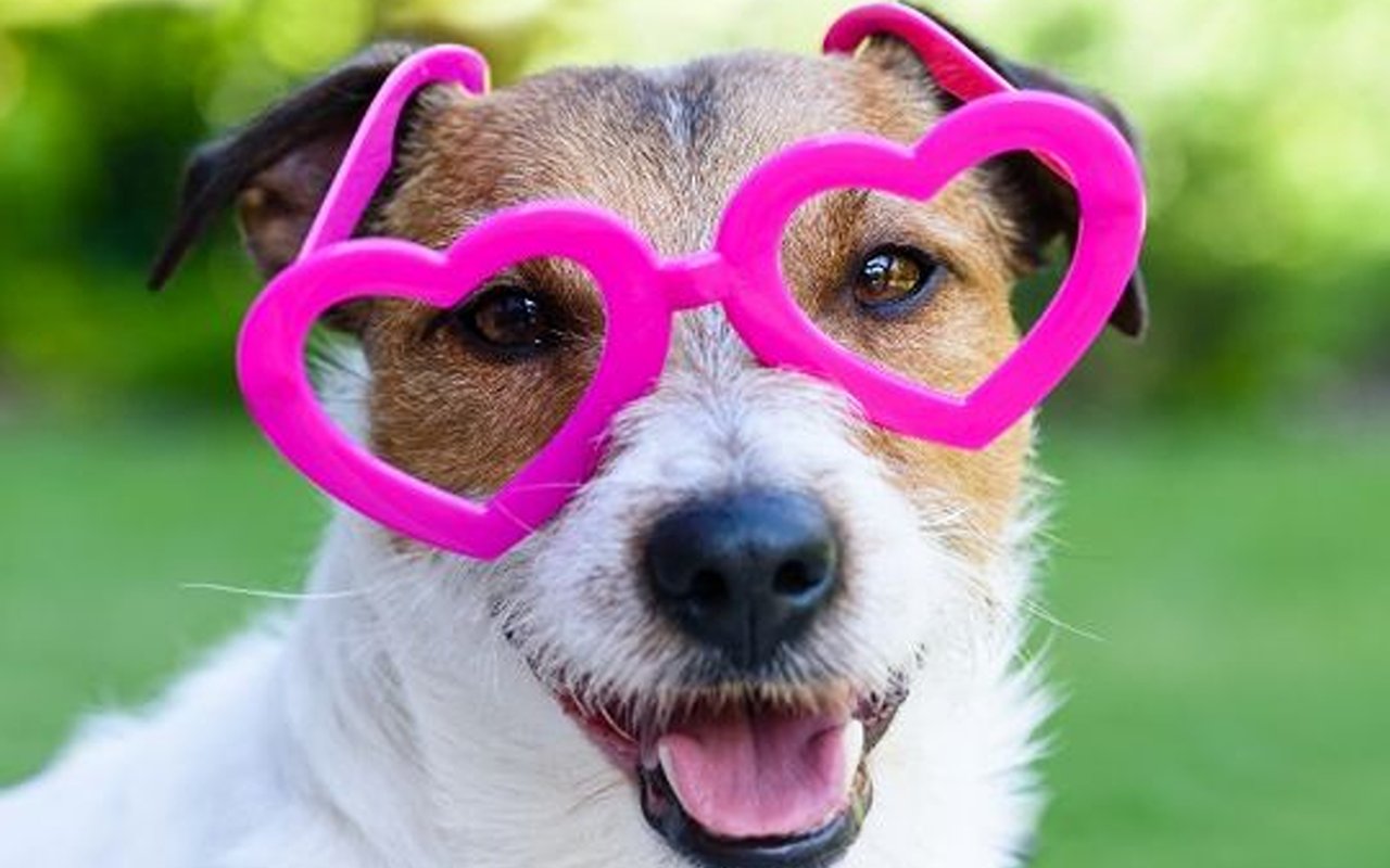 Valentine's Day Stats & Facts