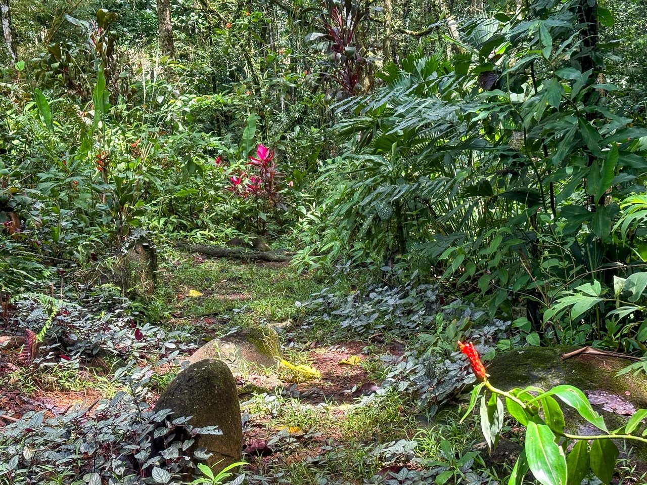 Ojochal Jungle Retreat for Sale with River, Pool, and Income-Generating Casitas