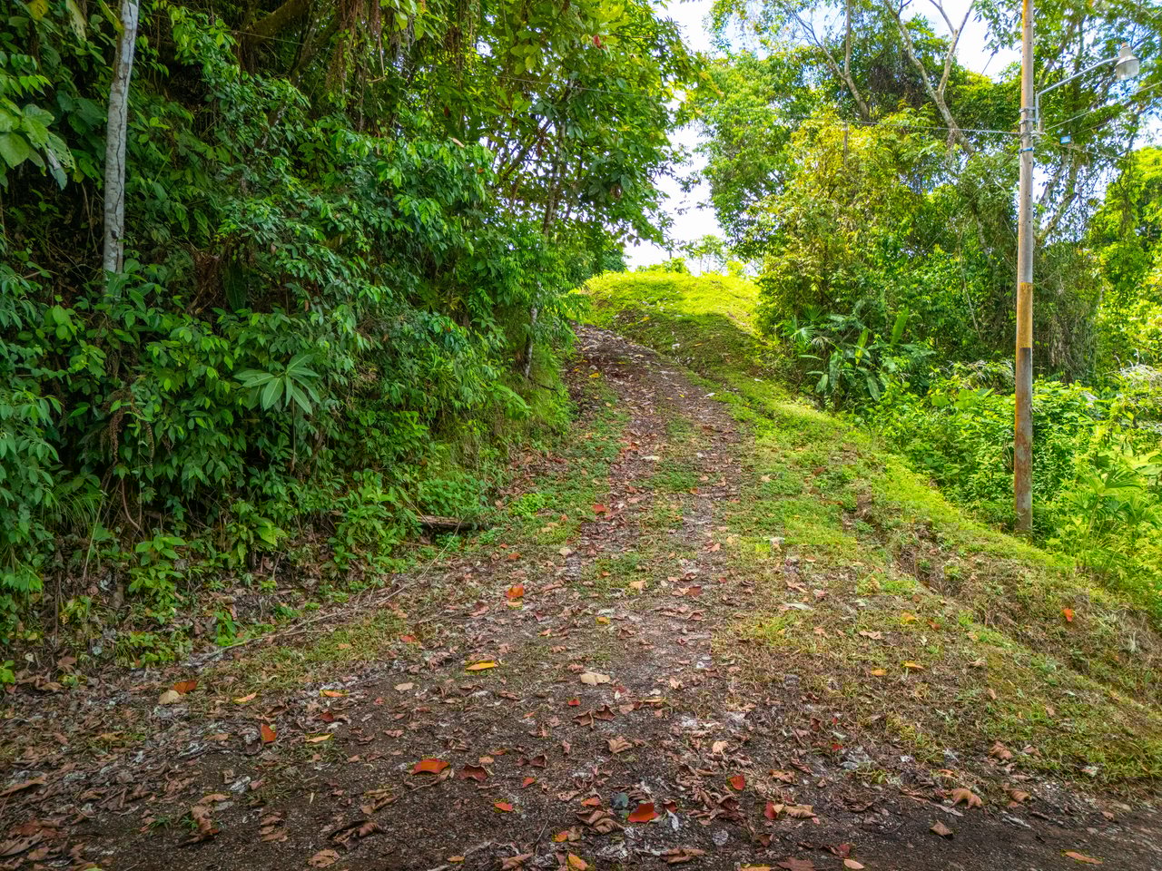 Tropical Paradise in Cascada Sándalo, Tres Ríos Ocean & Mountain Views | Gated Community | Abundant Nature