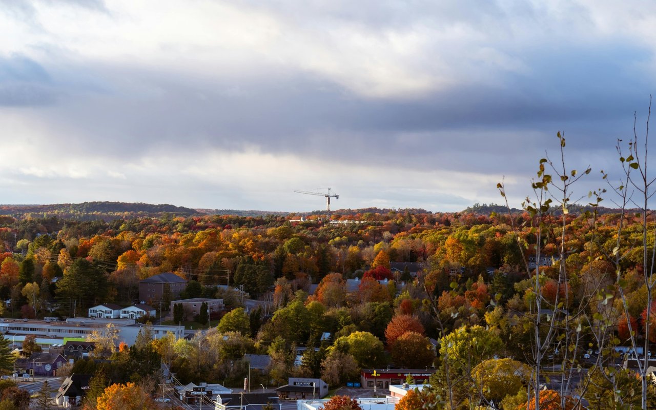 Chicago Fall Activities