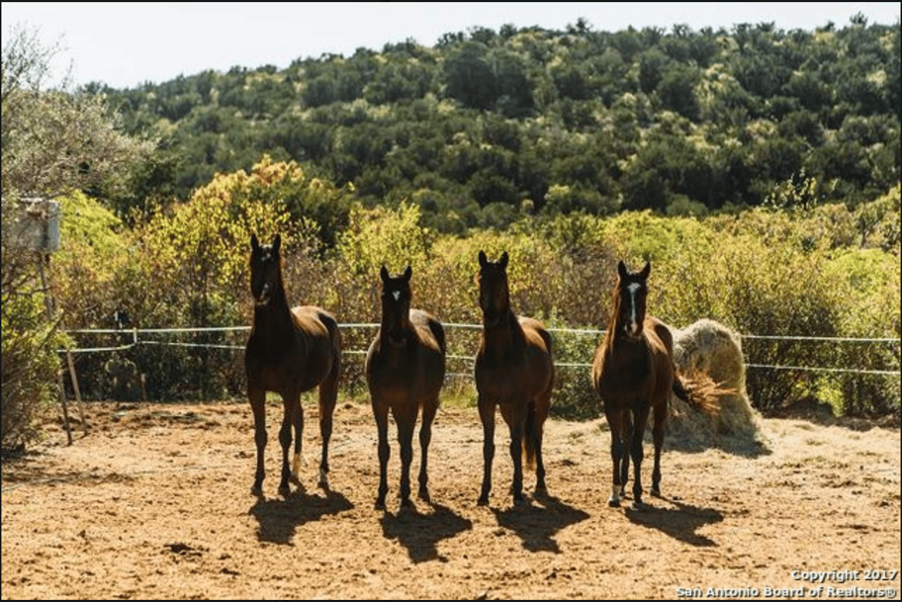 822 Acres in Uvalde Double Knobs Mountain Ranch