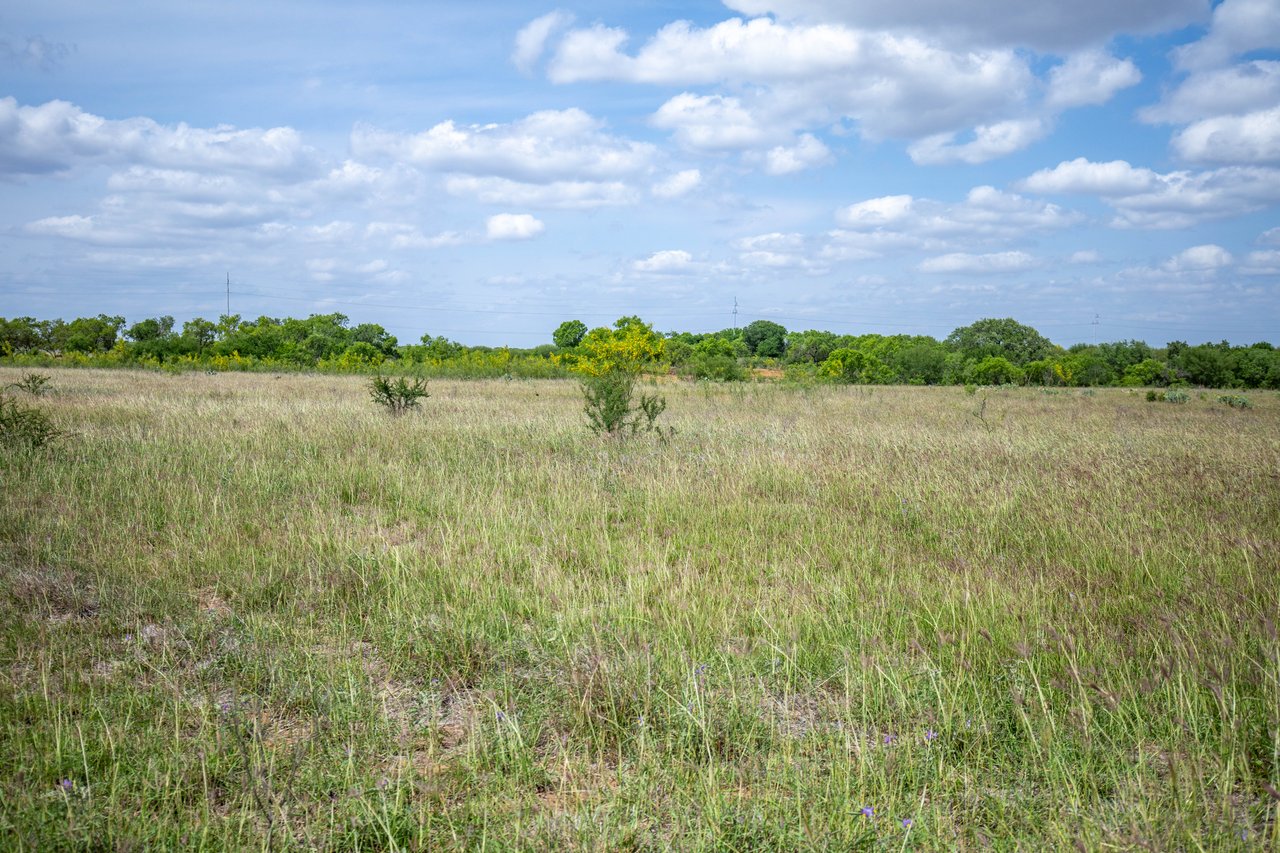 574 PR Goose Creek Ln | 34± Acres | Atascosa County