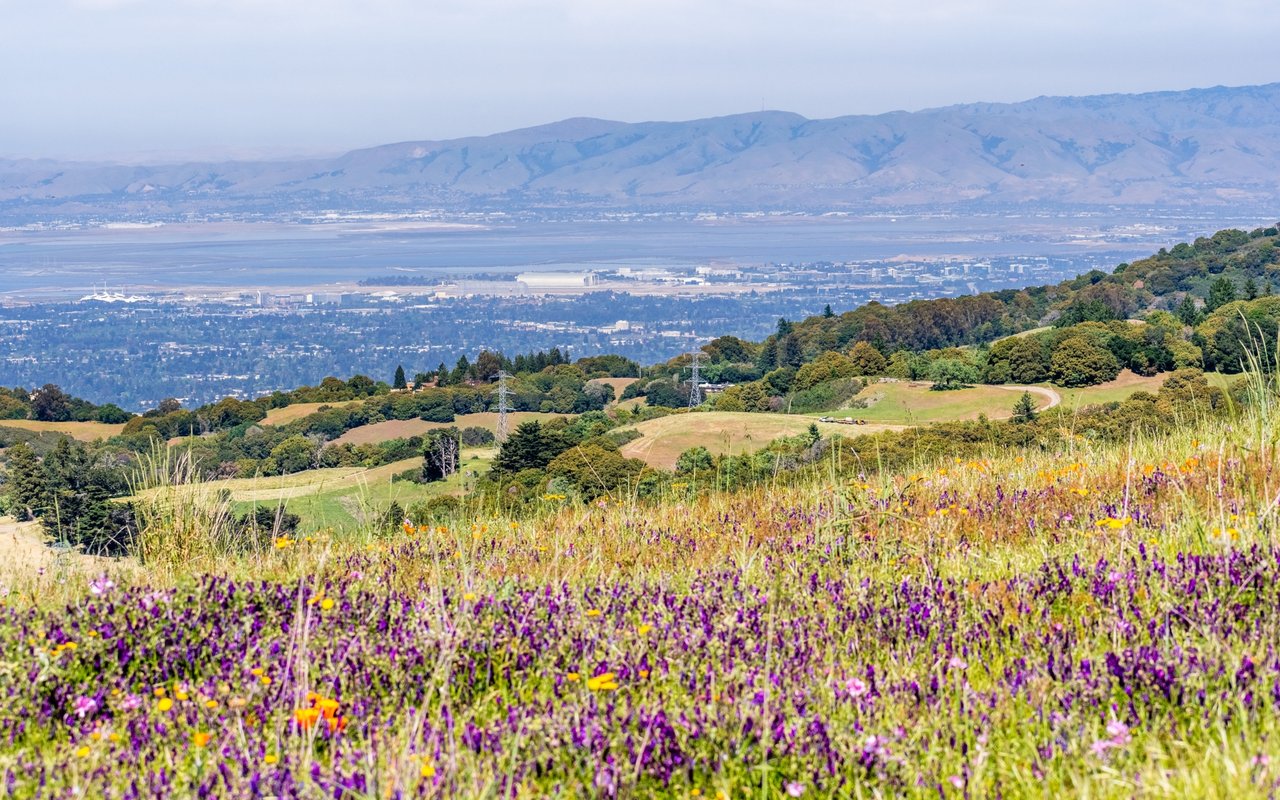 Sunnyvale